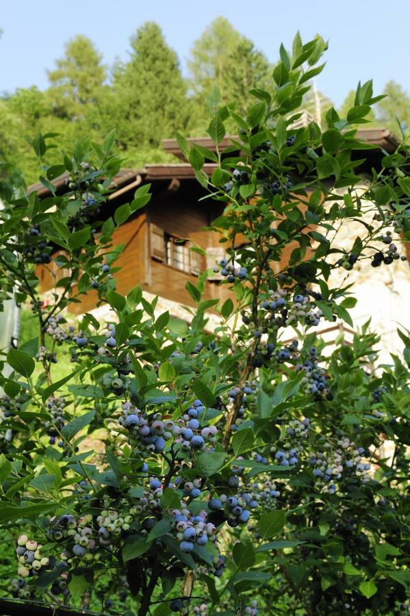 B&B Il Sambuco Vignola  Luaran gambar